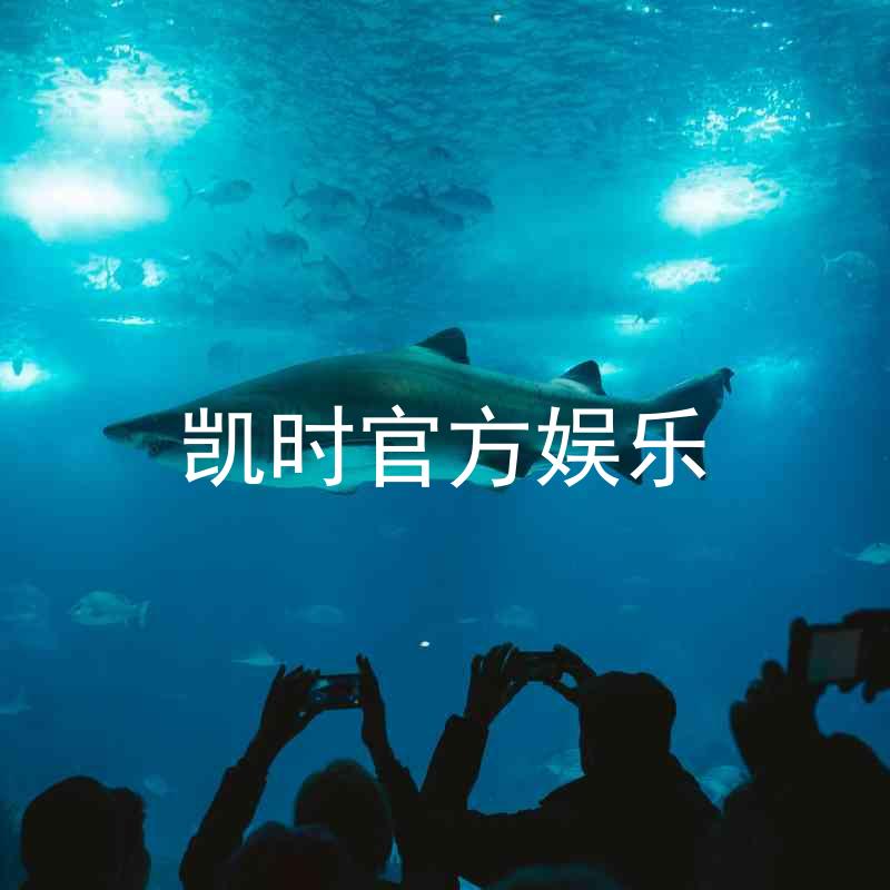 凯时官方娱乐